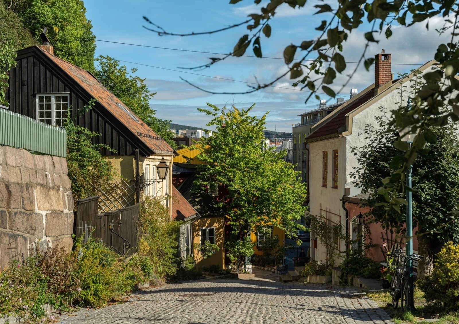 Her er det også svært grønt og frodig. Galleribilde