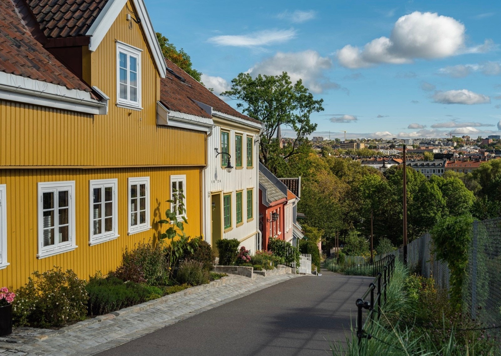 Nærområdet er noe for seg selv. Bare se på dette! Galleribilde