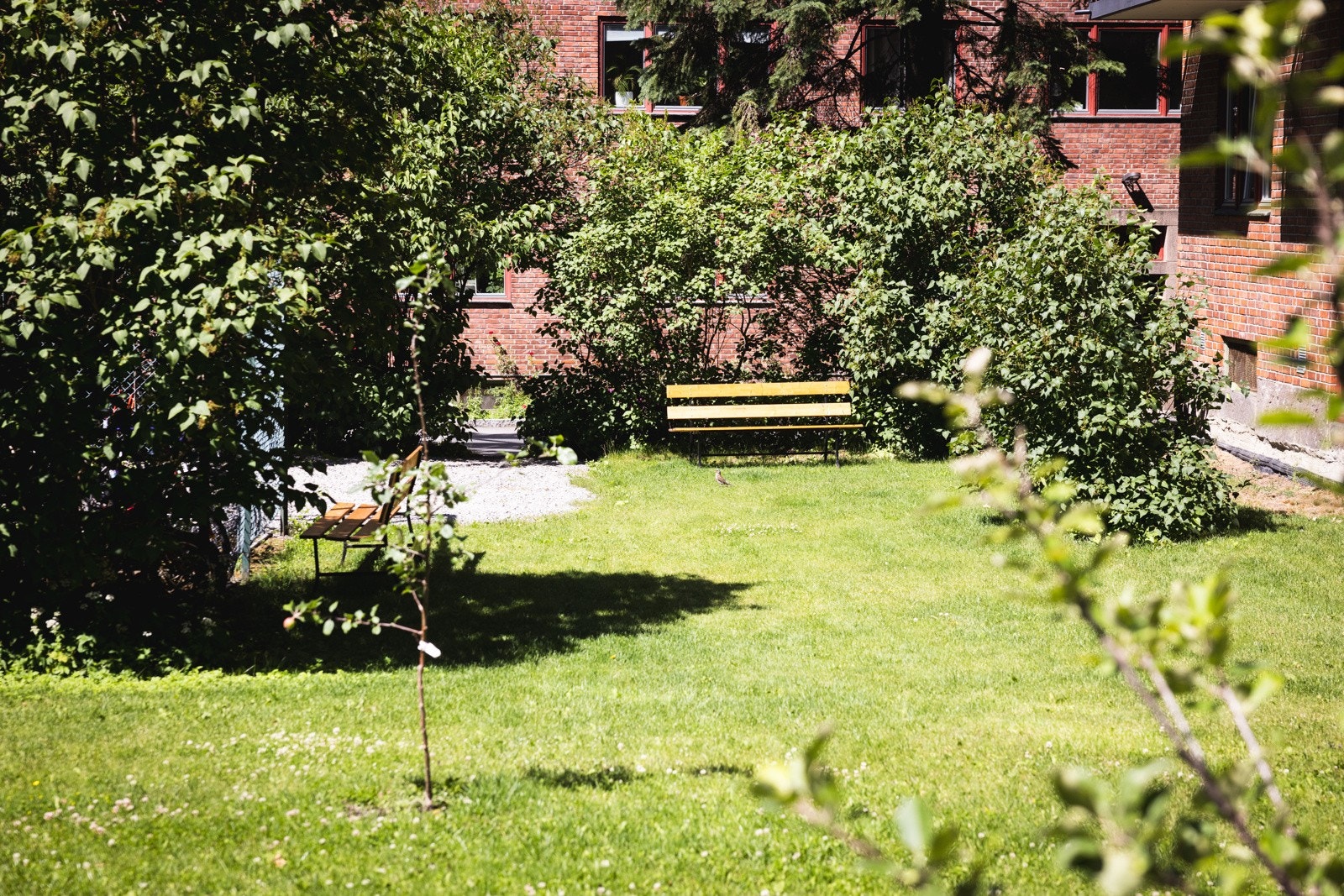 Velholdte og frodige fellesarealer. Galleribilde