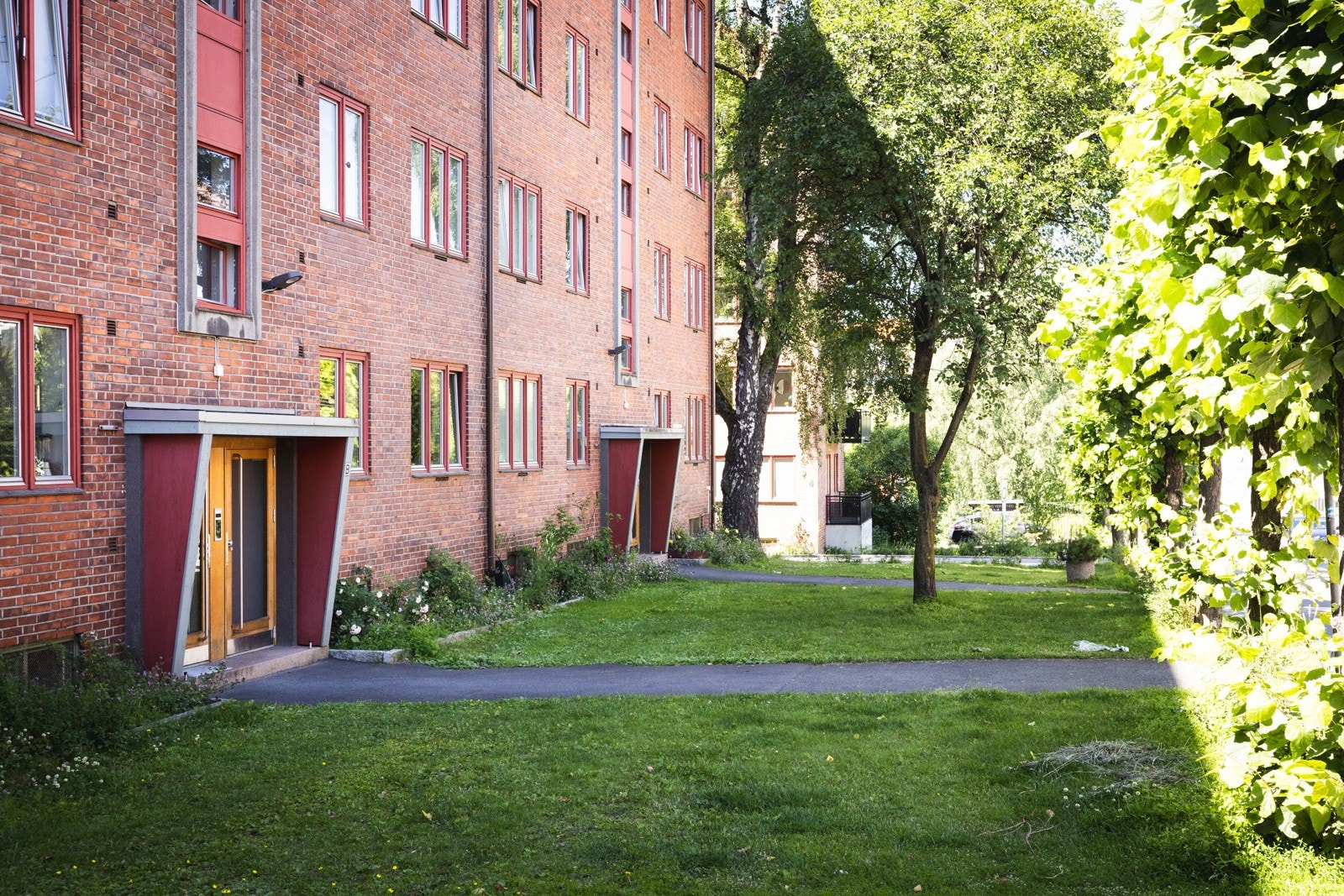 Asfalterte adkomstveier. Galleribilde