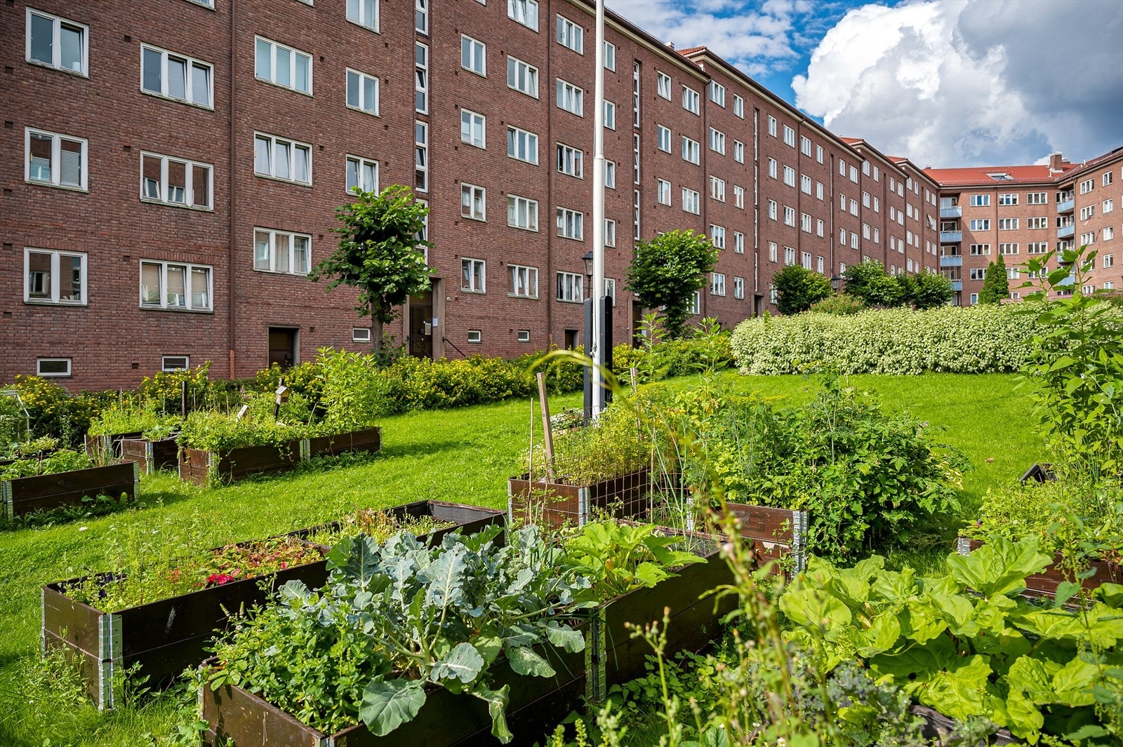 Mulighet for å dyrke grønnsaker og andre nyttevekster. Galleribilde