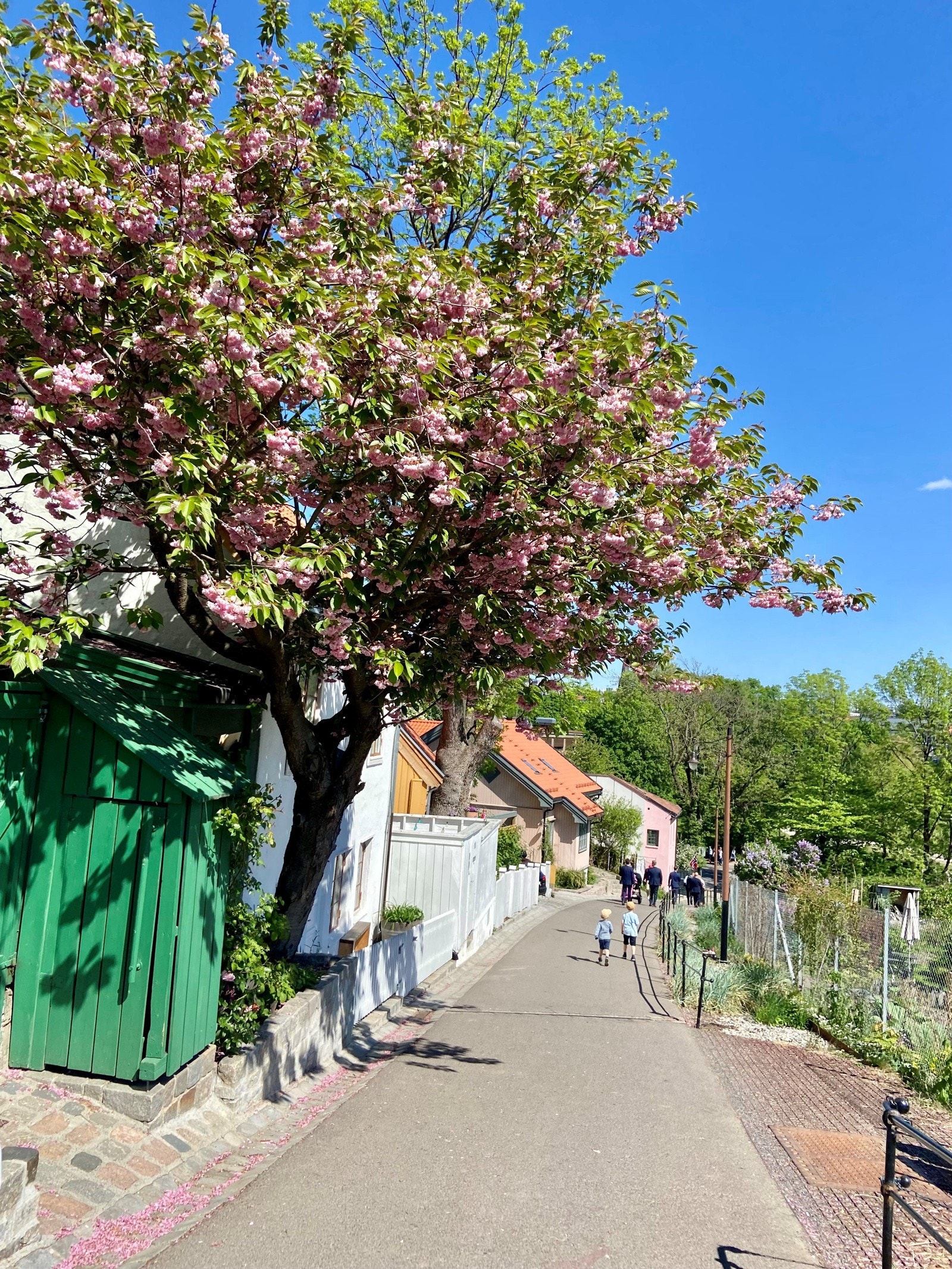 - Leiligheten ligger vis-á-vis Telthusbakken - Galleribilde