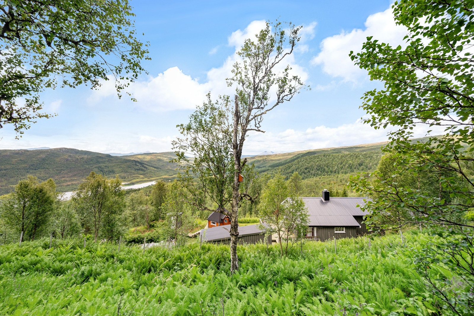 Hyggelig fritidsbolig i skjønne, naturnære omgivelser Galleribilde