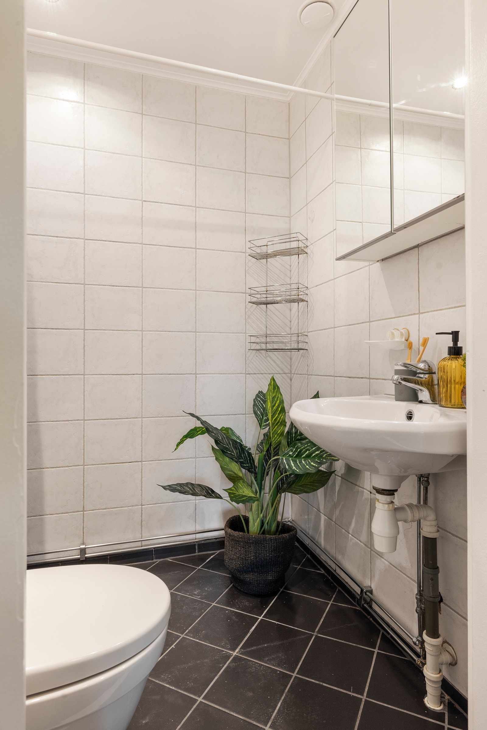 Dagfoto 21 Galleribilde