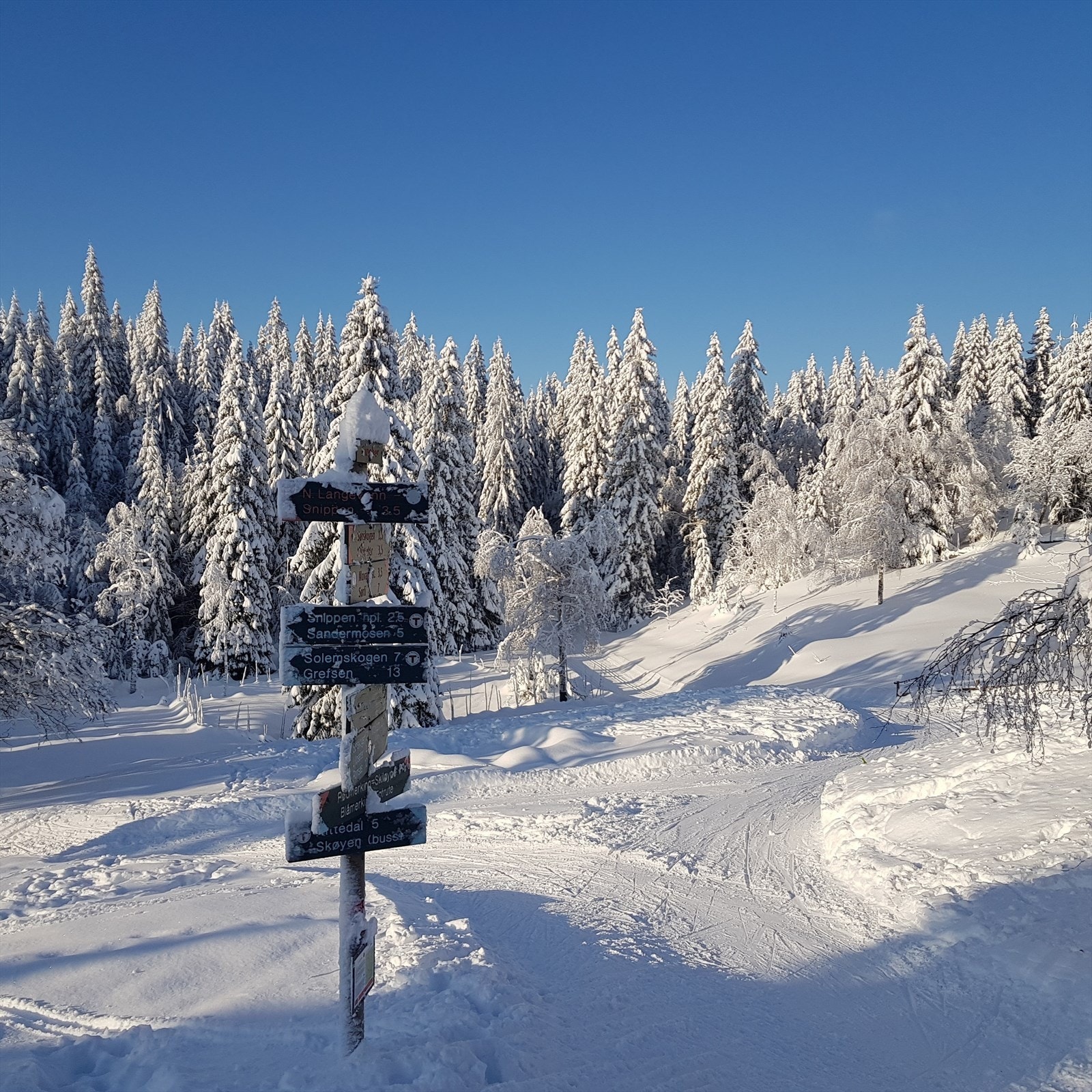Eiendommen har nærhet til flotte tur- og friluftsområder i Maridalen, Sognsvann, Grinda, Frysja, Stilla, Kjelsås Lillomarka med Grefsenkollen som gir gode rekreasjonsmuligheter både sommer og vinter. Galleribilde