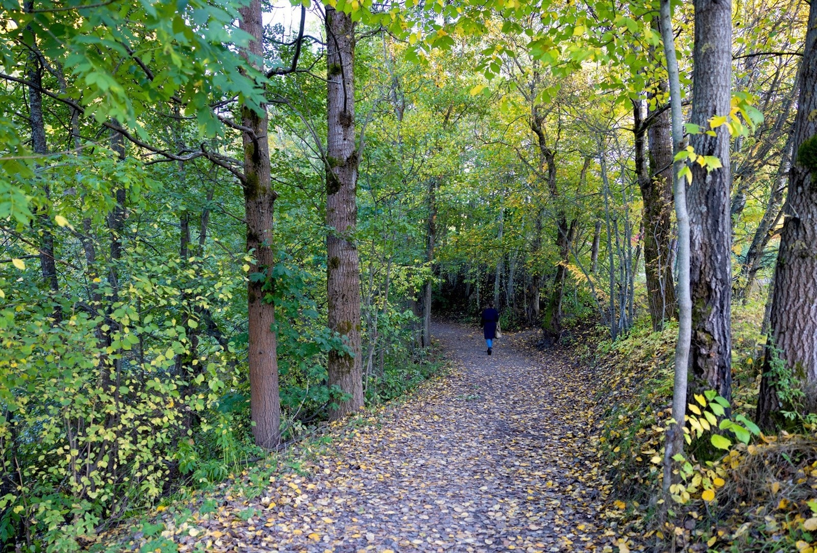 Veldig gode turmuligheter i Maridalen året rundt. Galleribilde