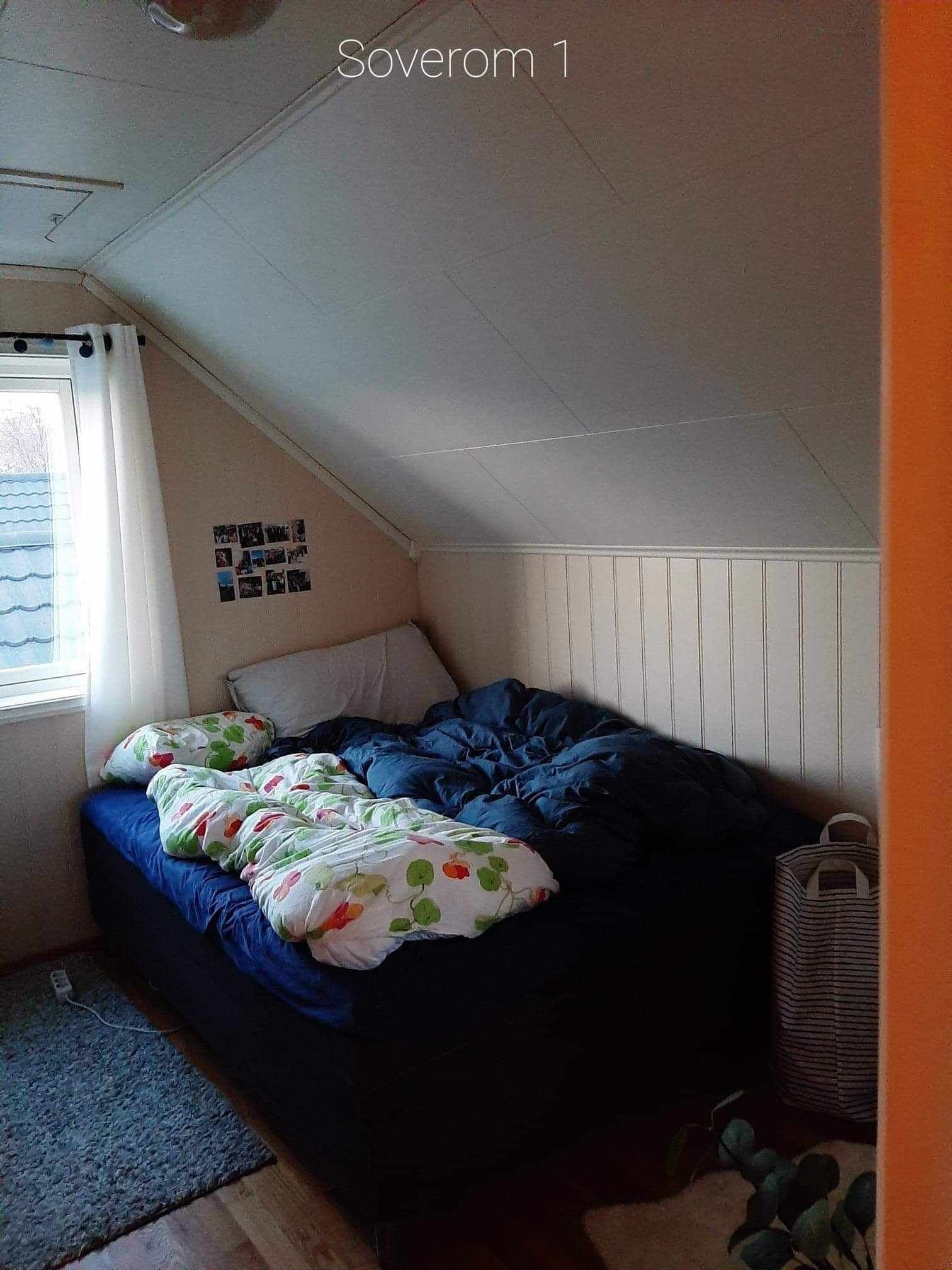 Utleiedel sov 2 loft Galleribilde