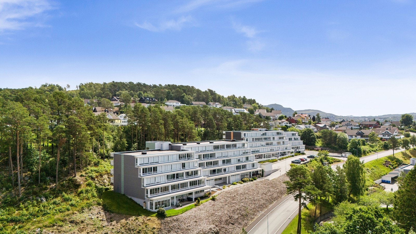 Fasade Galleribilde