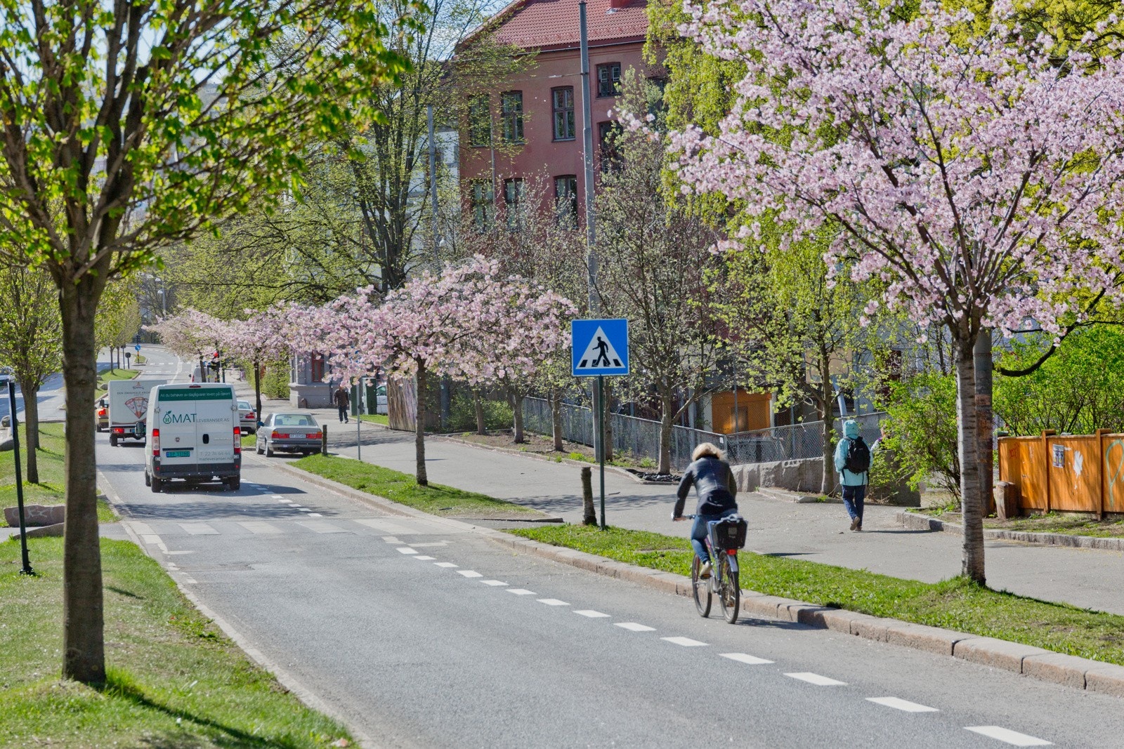 Nærområdet. Galleribilde