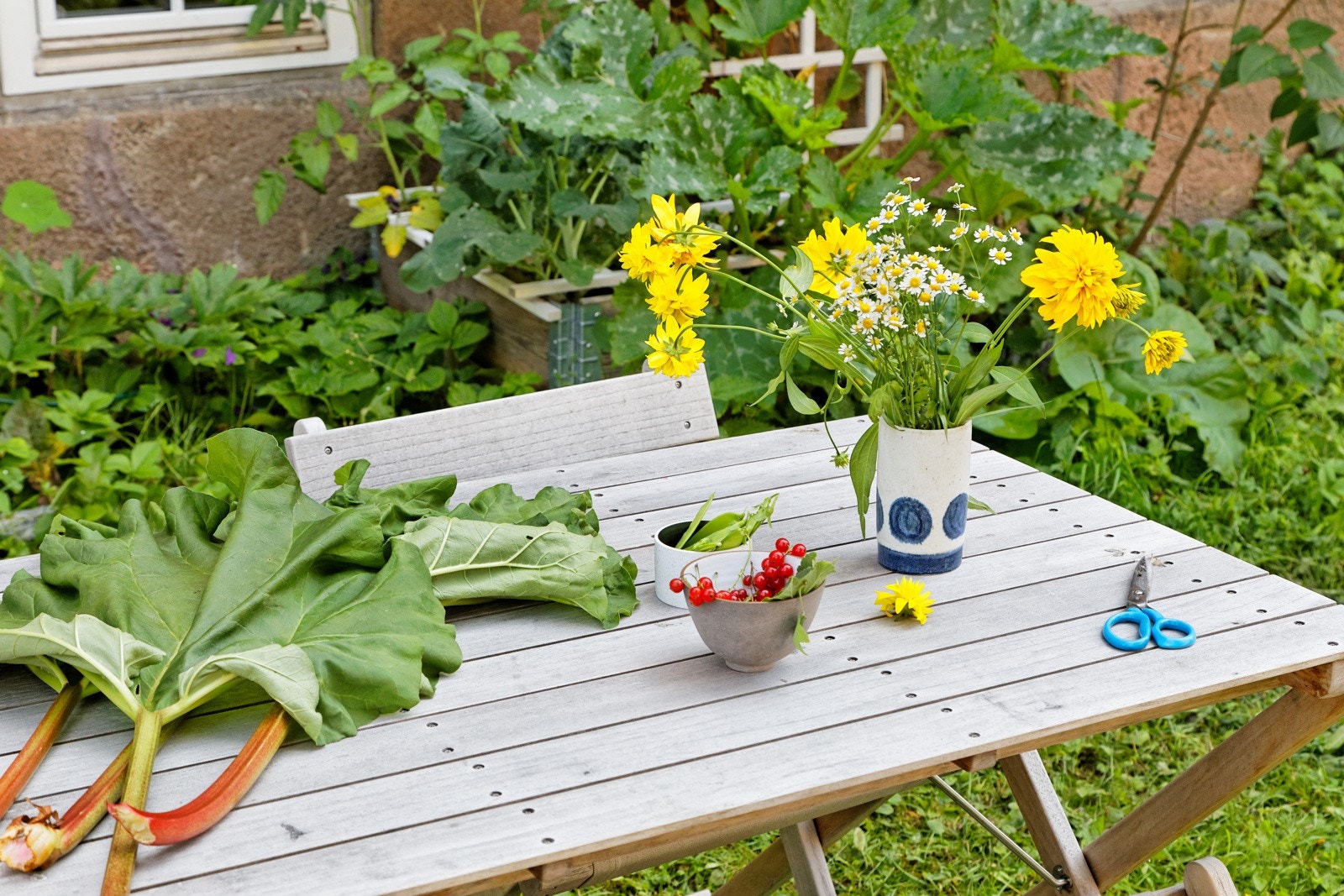 I forhagen kan du trekke deg tilbake fra det sosiale livet i bakgården for å høste inn rabarbra, grønnsaker og bær i egen gård. Galleribilde