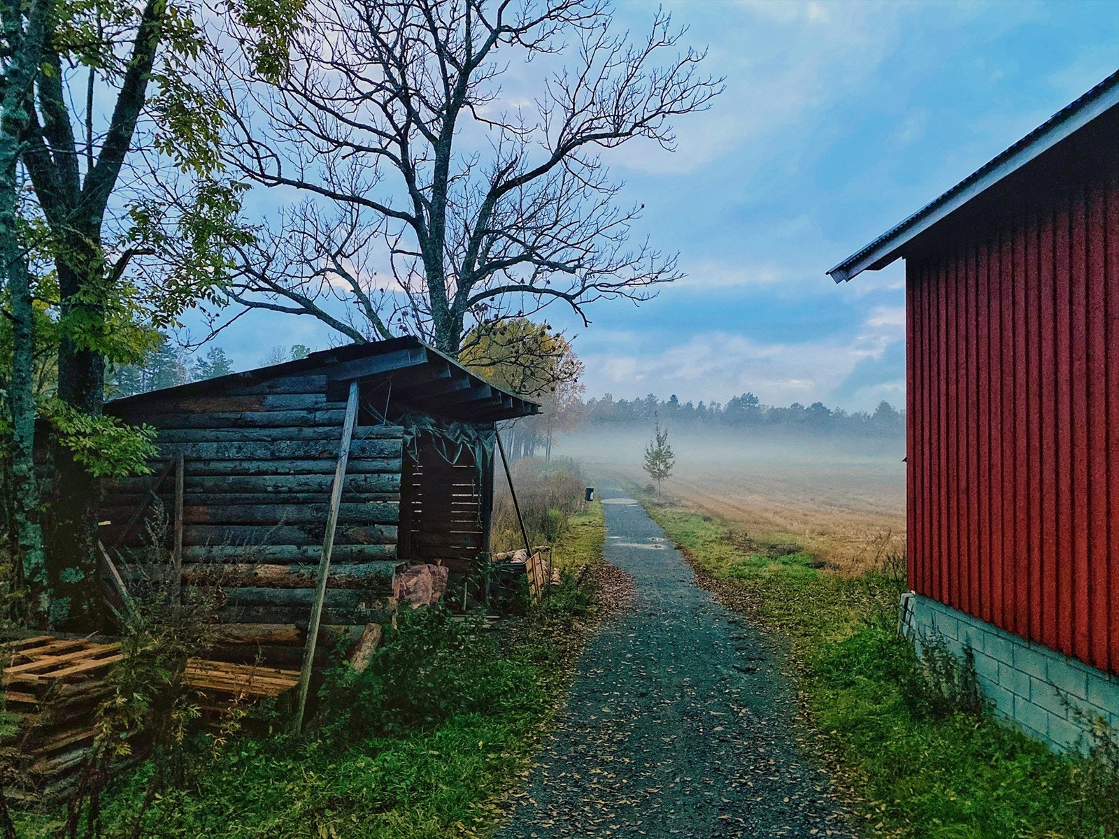 Marum skogen har nydelig tur terreng til alle årstider, med kort gange fra huset til skiløyper om vinteren. Galleribilde