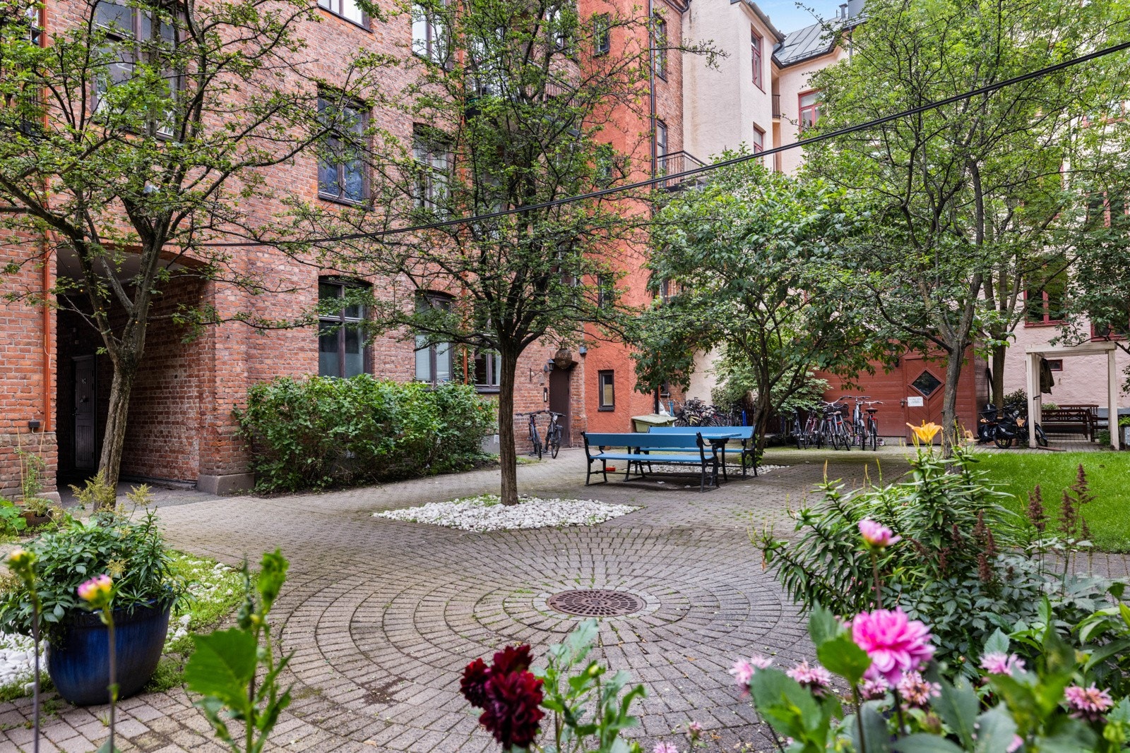 Bakgården er en oase midt i byen som bare må oppleves. Galleribilde