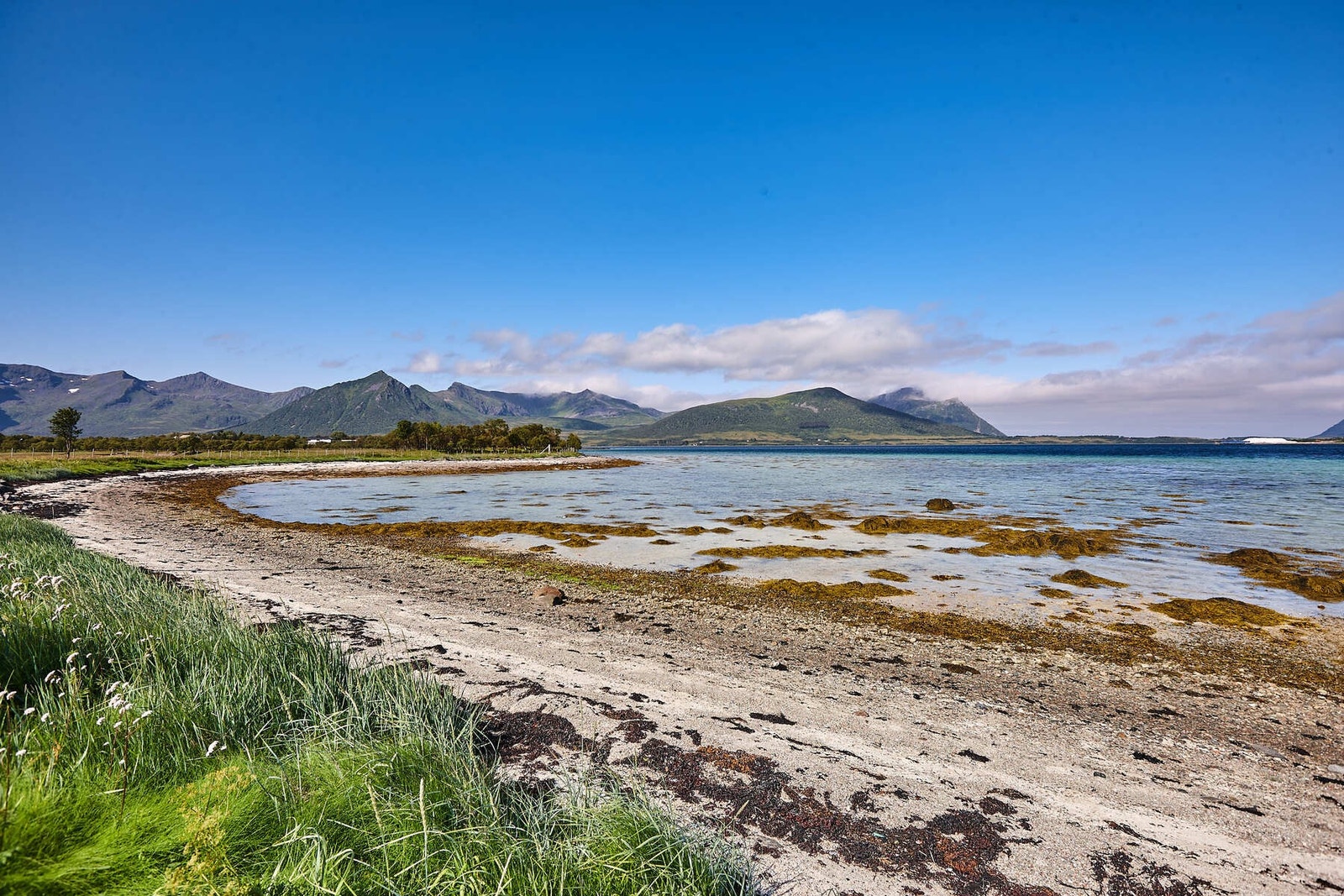 Nedre del av eiendommen grenser til sjøen. Galleribilde