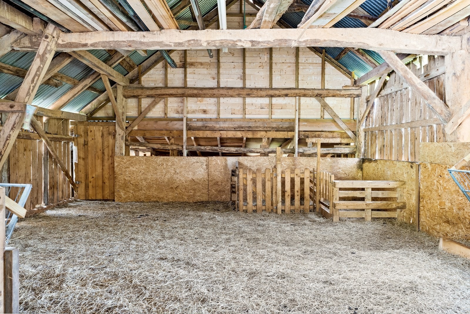 Det er mogleg for ny eigar å overta sauene dersom det er ønskeleg. Galleribilde