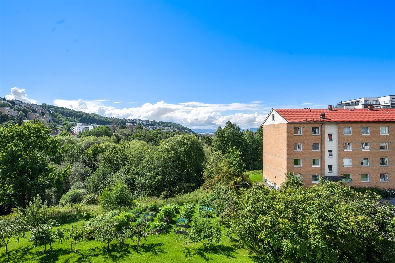 Fra balkongen er det grønt utsyn mot Ekebergskrenten, Sørenga og sjøen Galleribilde