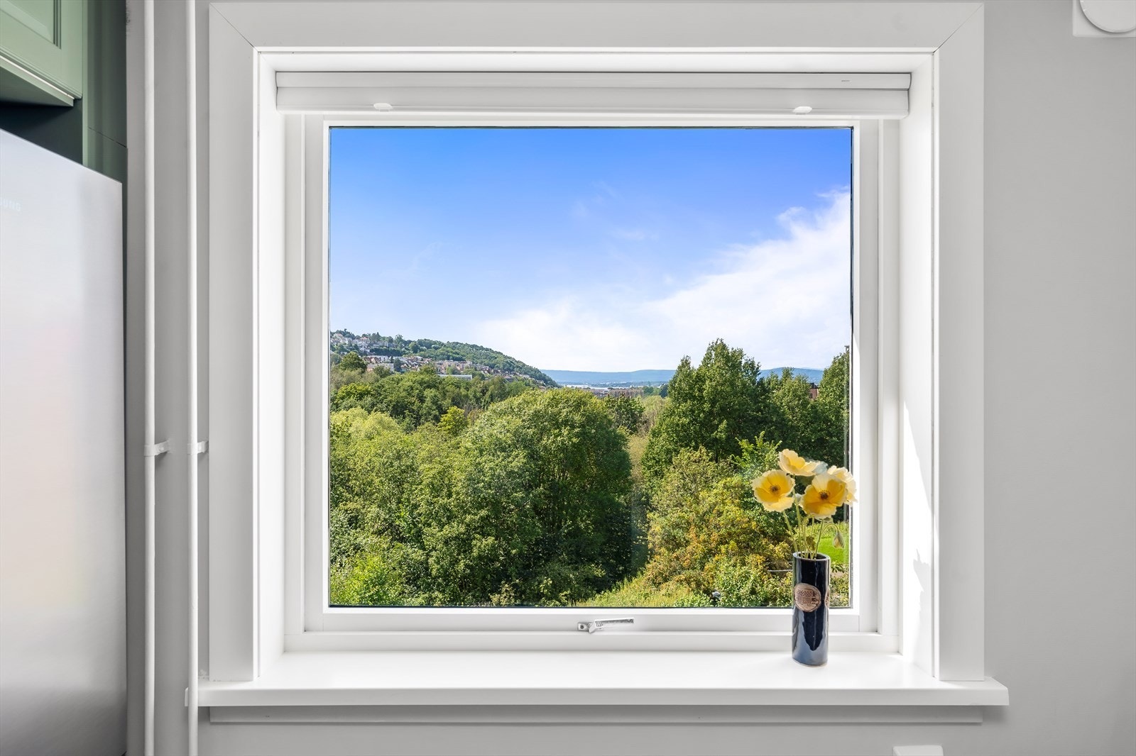 Flott utsikt fra kjøkkenvinduet! Galleribilde