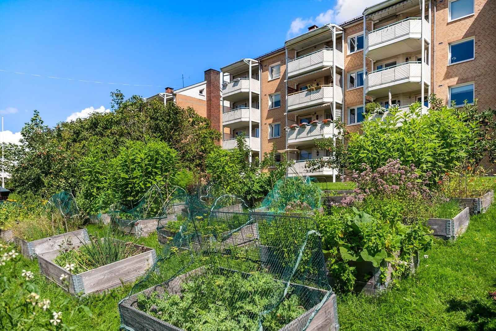 Den opparbeidede tomten har både busker, trær og en velholdt kjøkkenhage Galleribilde