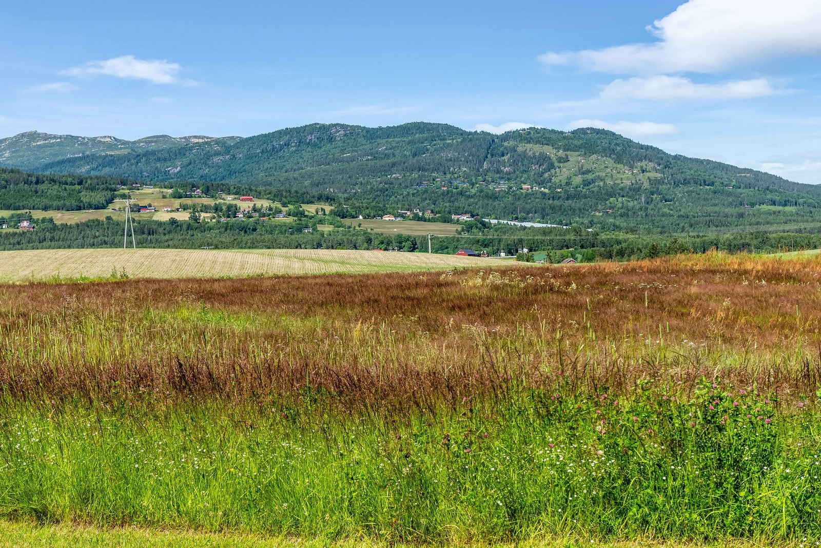 Utsikt mot Liheia og Lifjell fra nordsida av tomta. Galleribilde