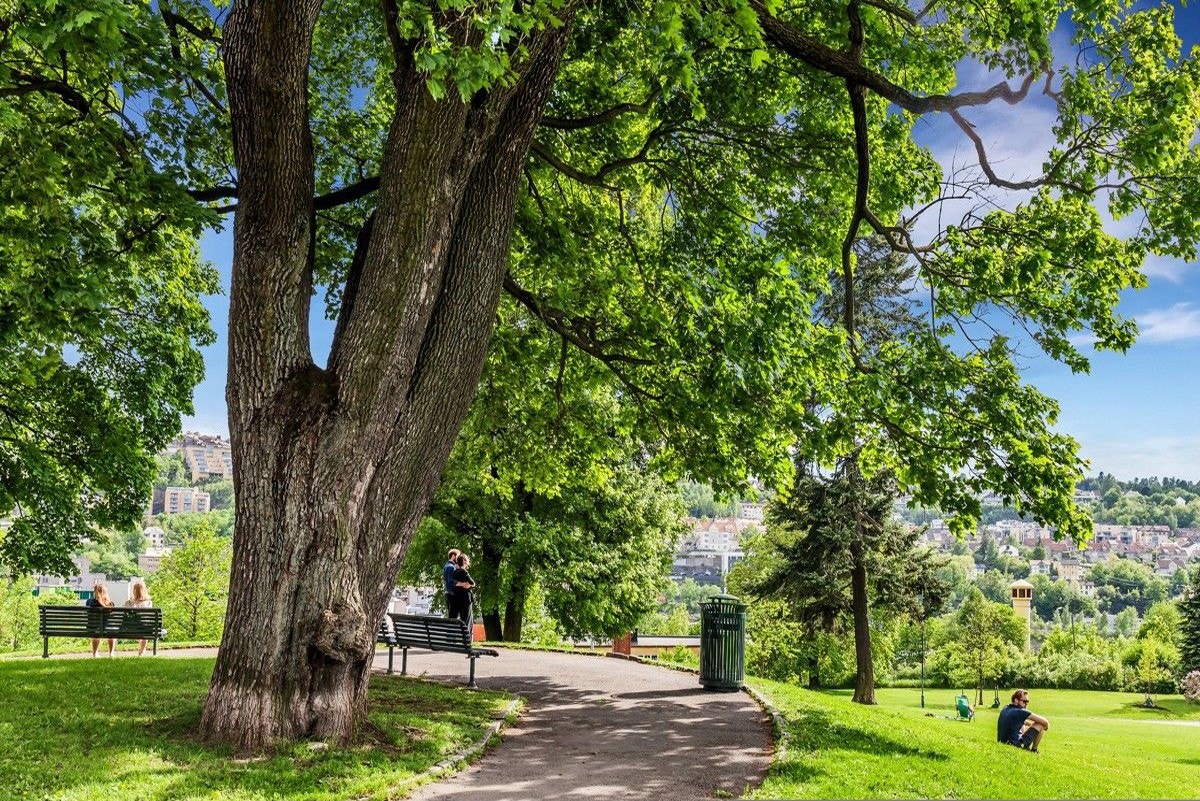 Idylliske Vålerengaparken ligger et steinkast unna. Galleribilde