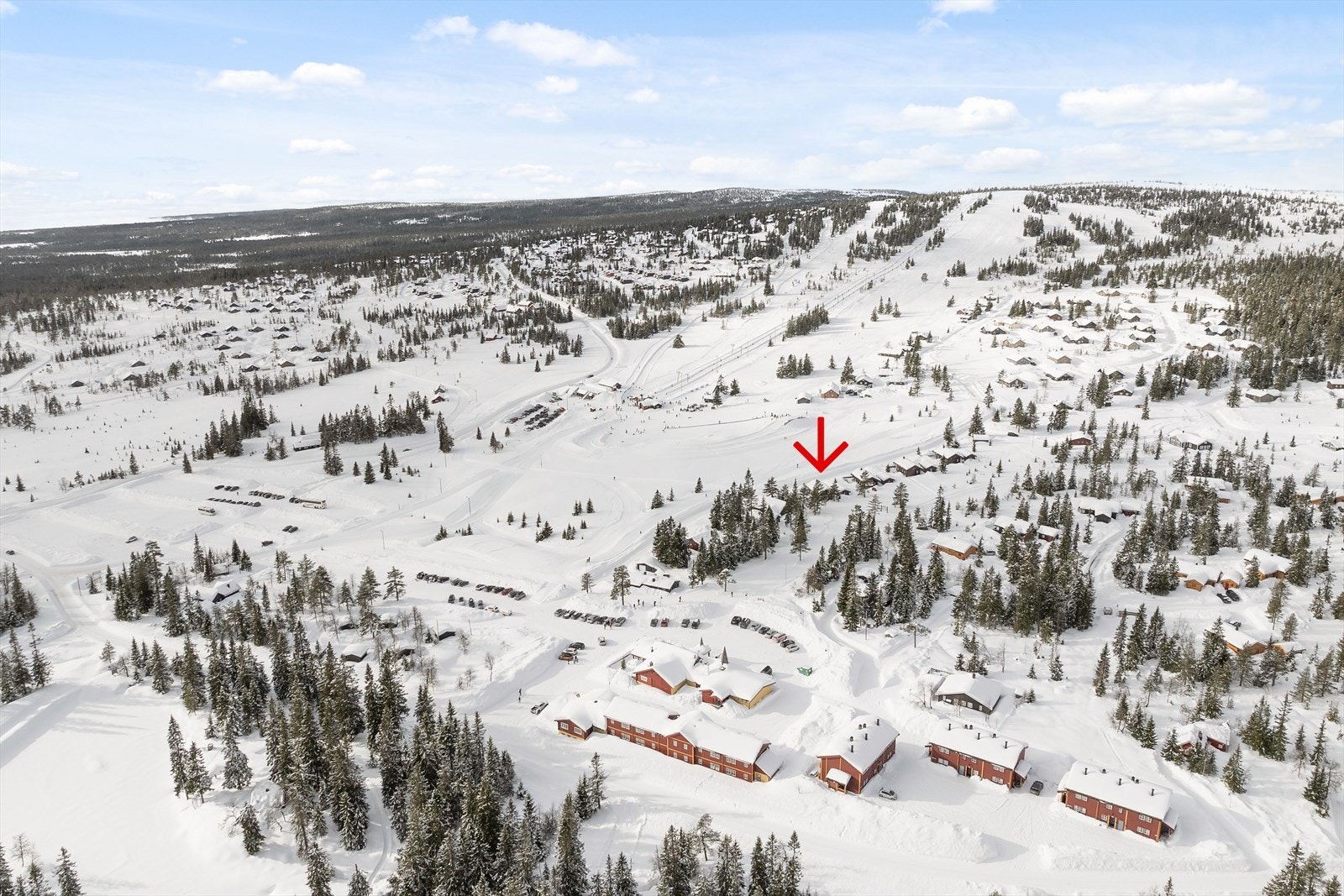Budor er et snøsikkert område, perfekt for den skiglade. Her har du milevis med skiløyper som tar deg langt innover Hedmarksvidda. Galleribilde