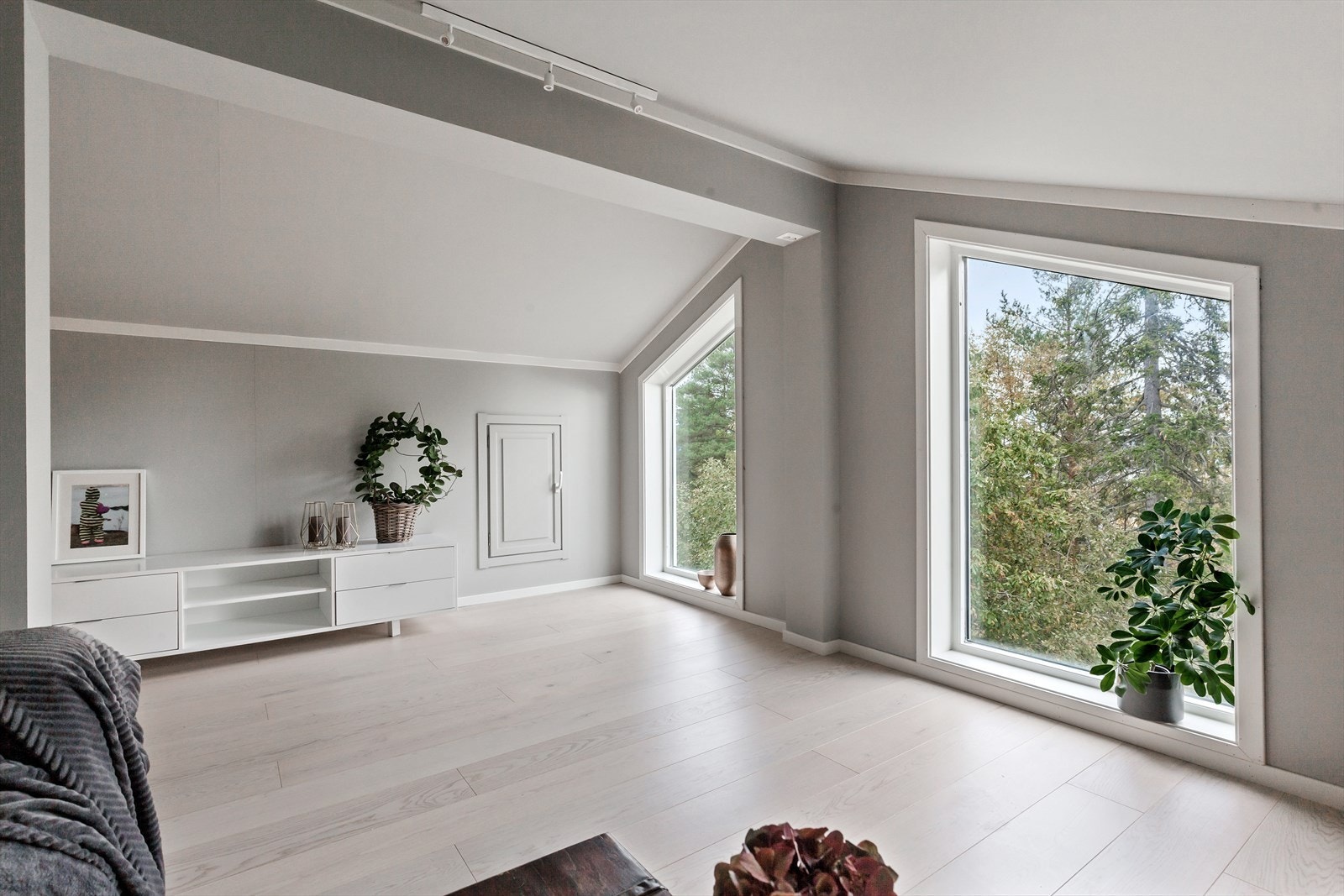 Hems gode lysforhold Galleribilde