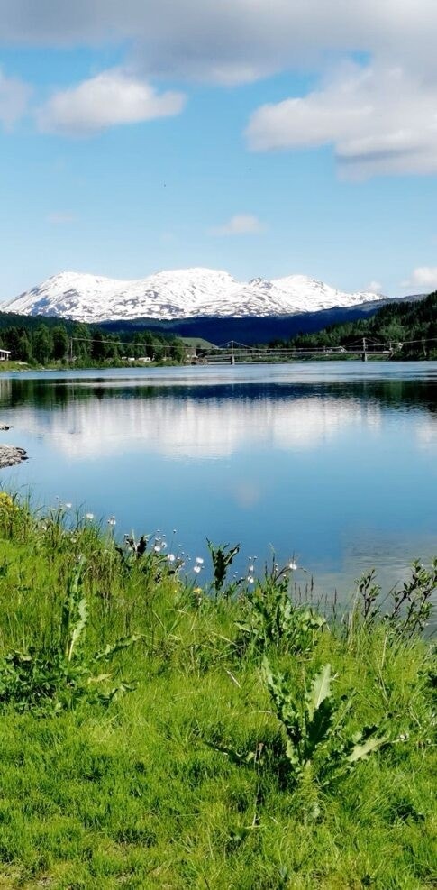 Utsikt fra tomten Galleribilde