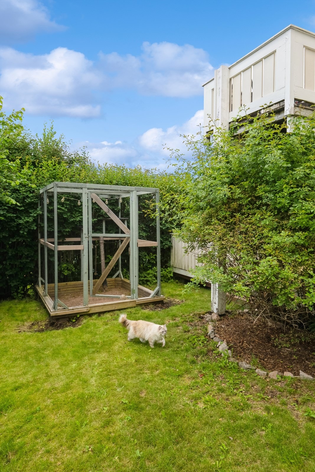 Hyggelig og skjermet hage. Det er satt opp en kattegård i hagen. Denne kan brukes til så mangt, feks om du har kaniner, fulg, katt, liten hundegård etc. Galleribilde