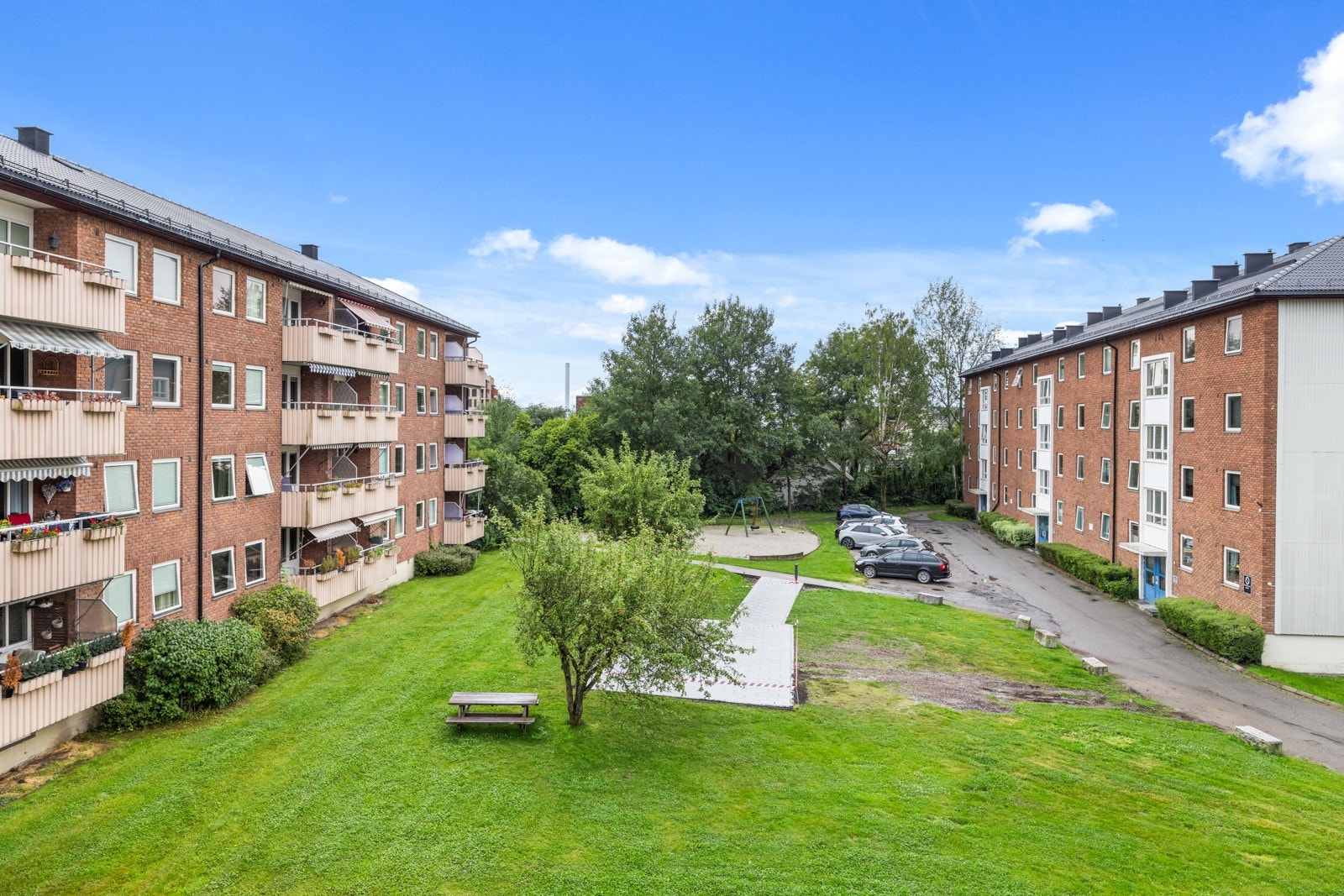 Luftig og frodig utsikt. Galleribilde