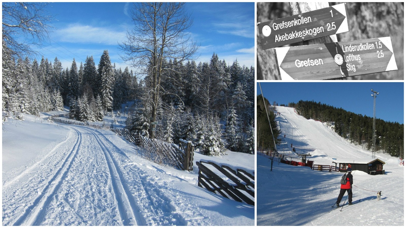 Lillomarka vinter. Galleribilde