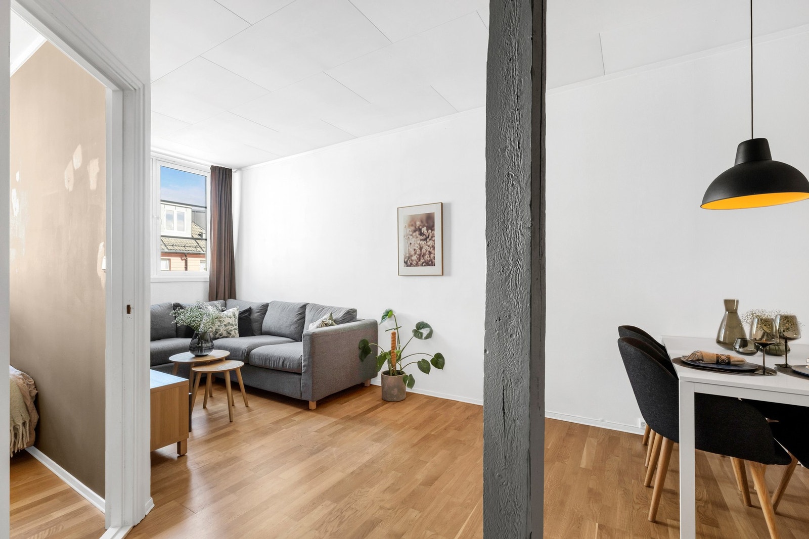 Naturlig sonedeling i leiligheten. Galleribilde