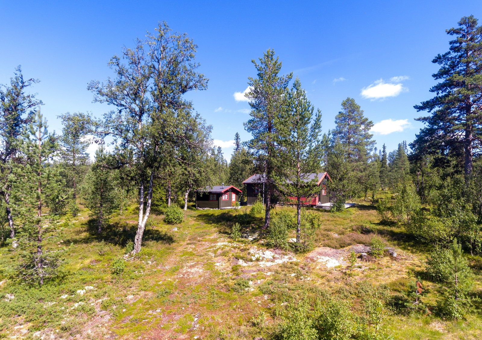 Velkommen til Nordre Flendammen, Flendammen, Drykkjedalen hyttefelt og Rendalen! Galleribilde