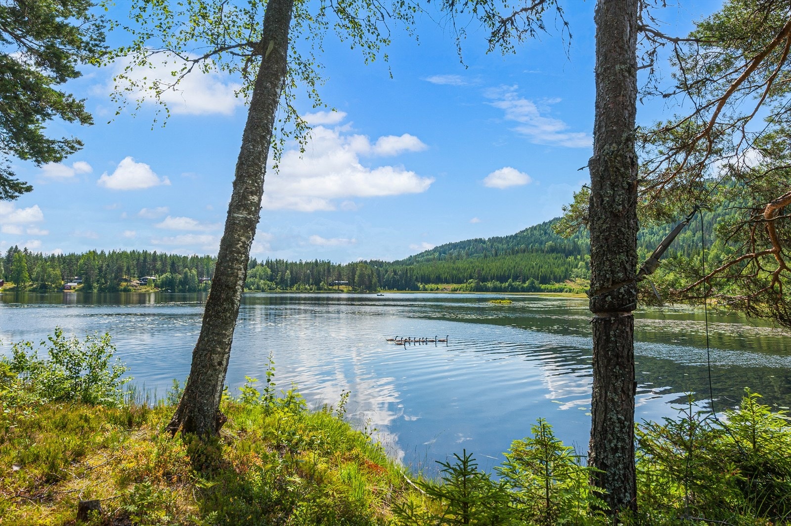 Det er stier på landsiden som inviterer til fine turer og utforskning av det rike dyrelivet. Dette er en perfekt beliggenhet for de som ønsker å nyte naturens ro og skjønnhet. Galleribilde
