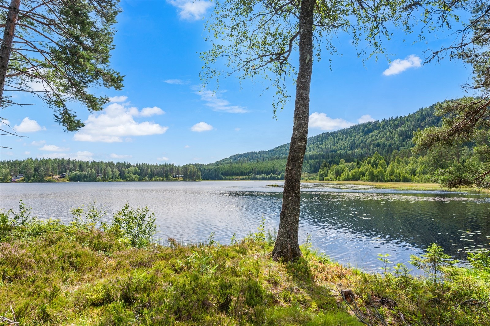 Ankomst via hyggelig robåttur over vannet. Galleribilde