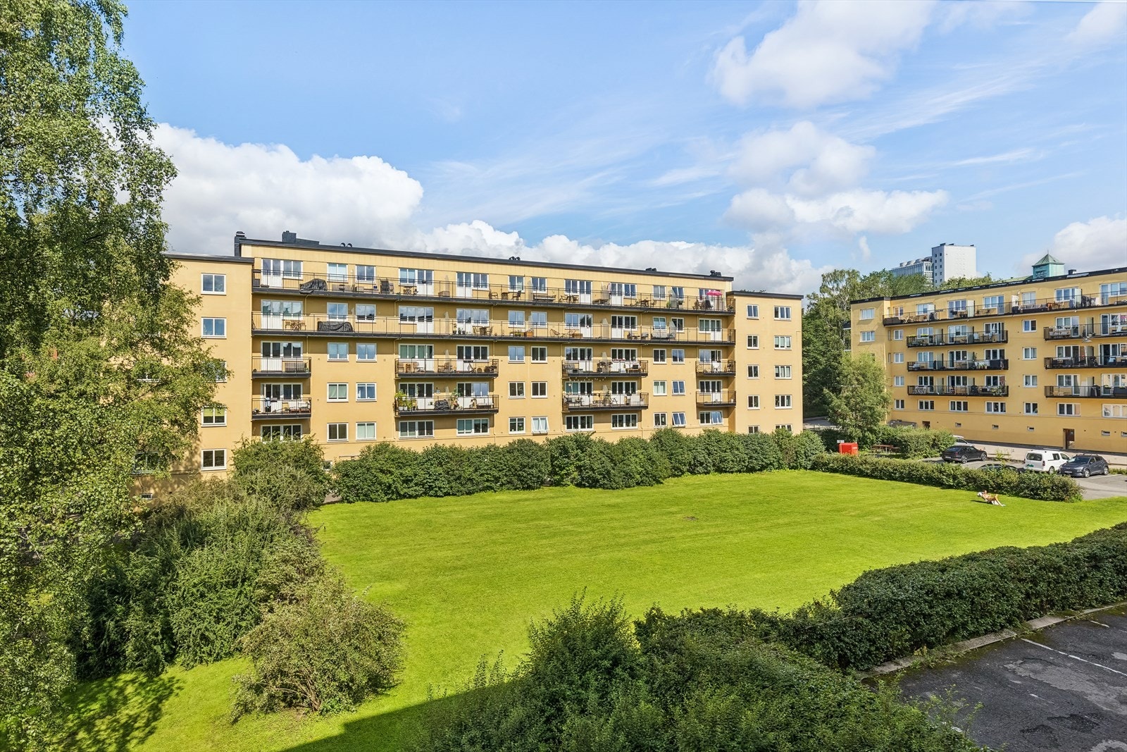 Bakgården til borettslaget. Galleribilde