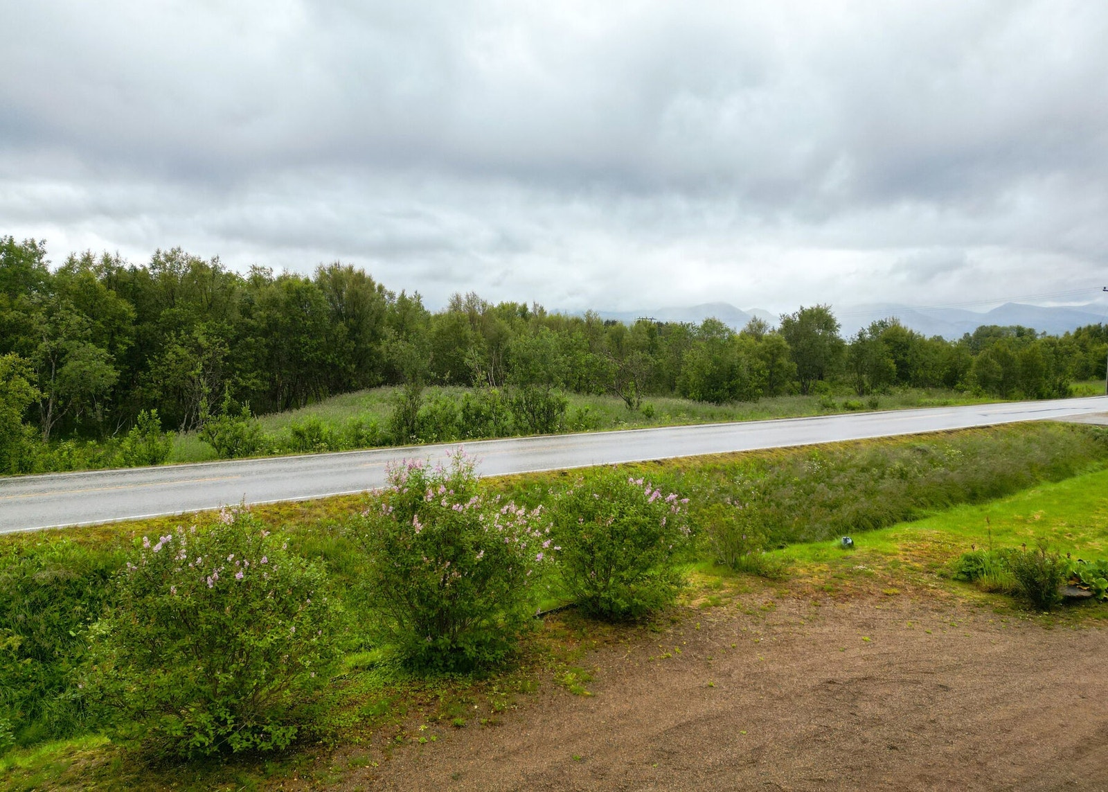 Utsikten fra boligen Galleribilde