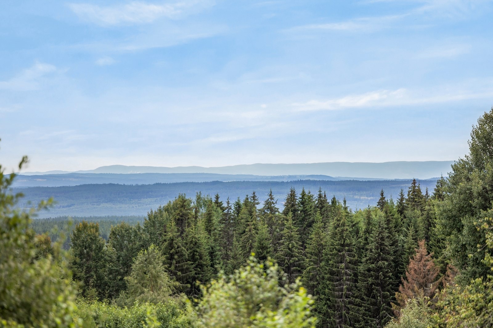 Utsikt fra eneboligen. Galleribilde