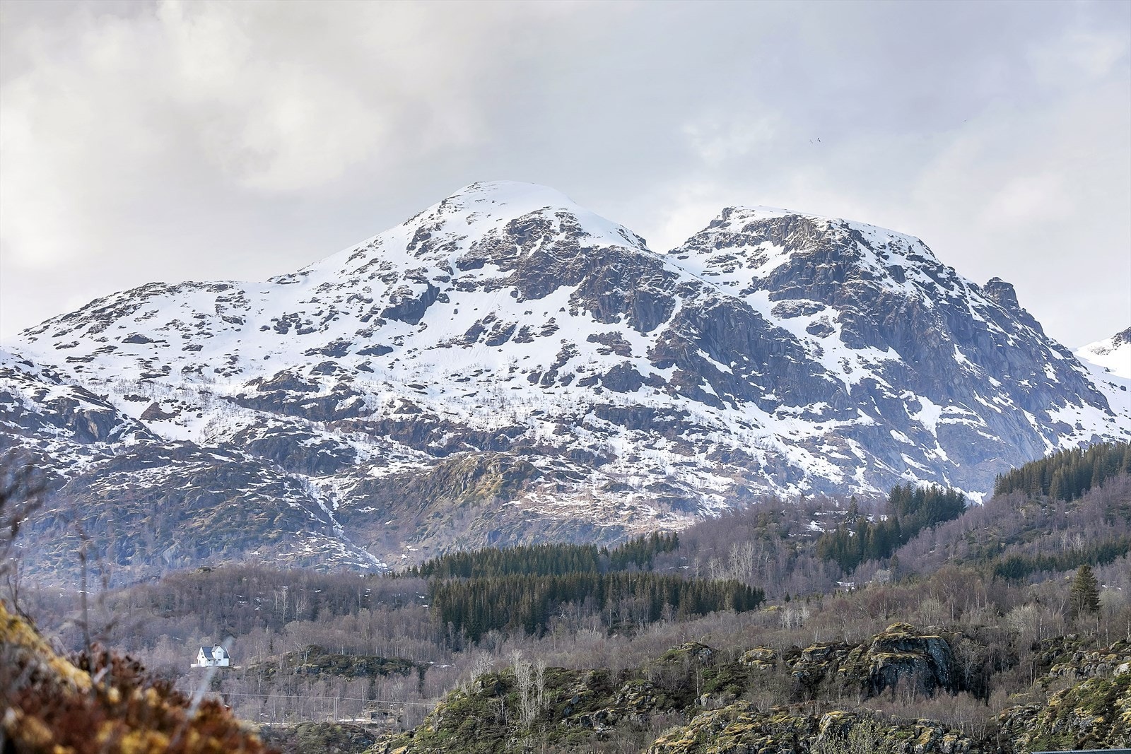 Kamera_0559.jpg Galleribilde