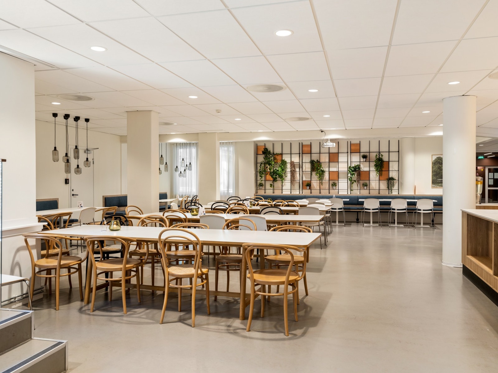 Lyst og trivelig Galleribilde