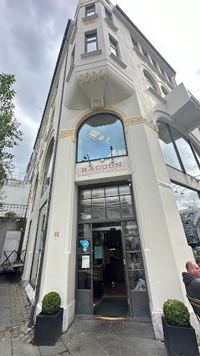 racoon5.jpg Galleribilde