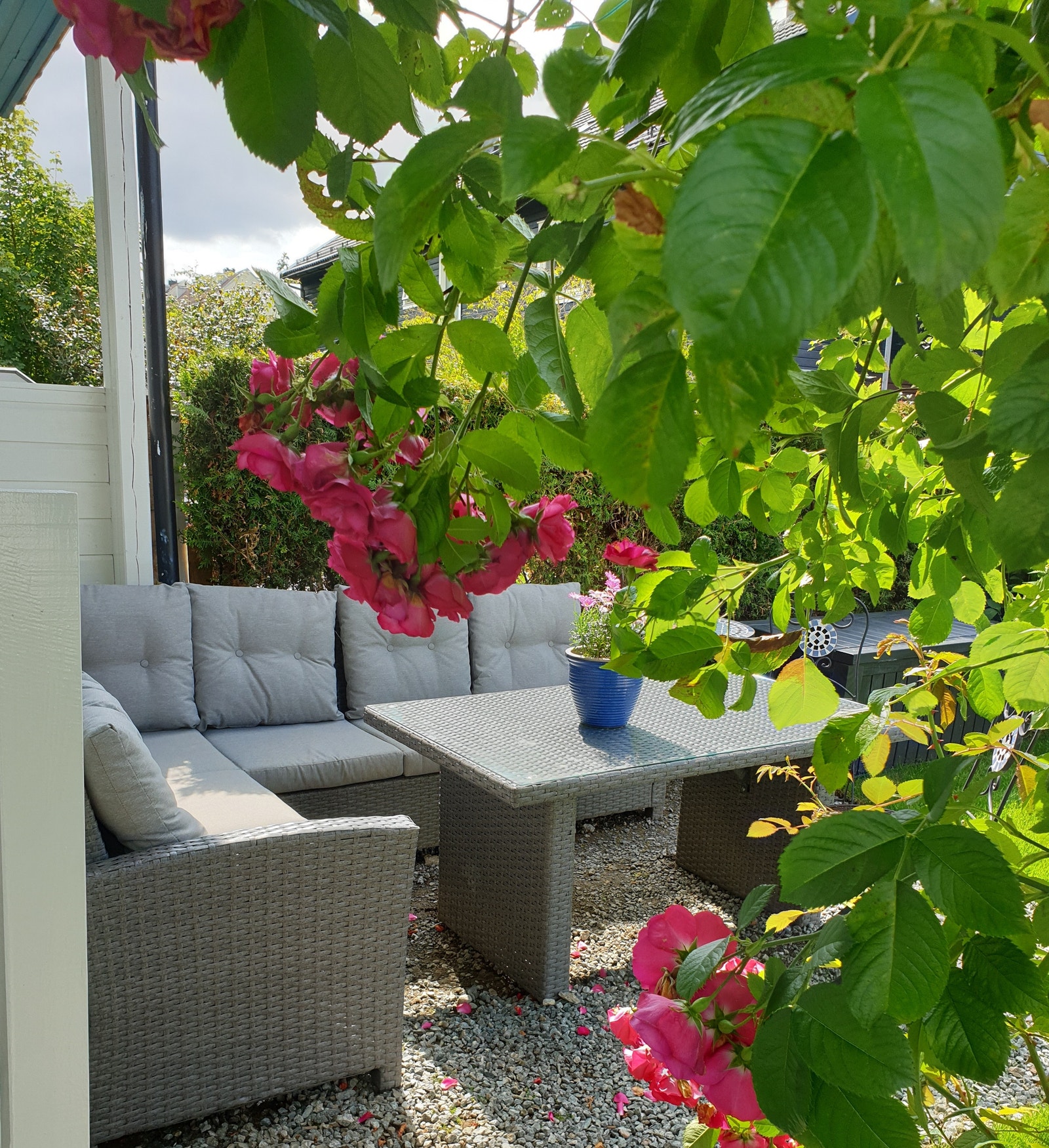 Din uteplass i sommer Galleribilde