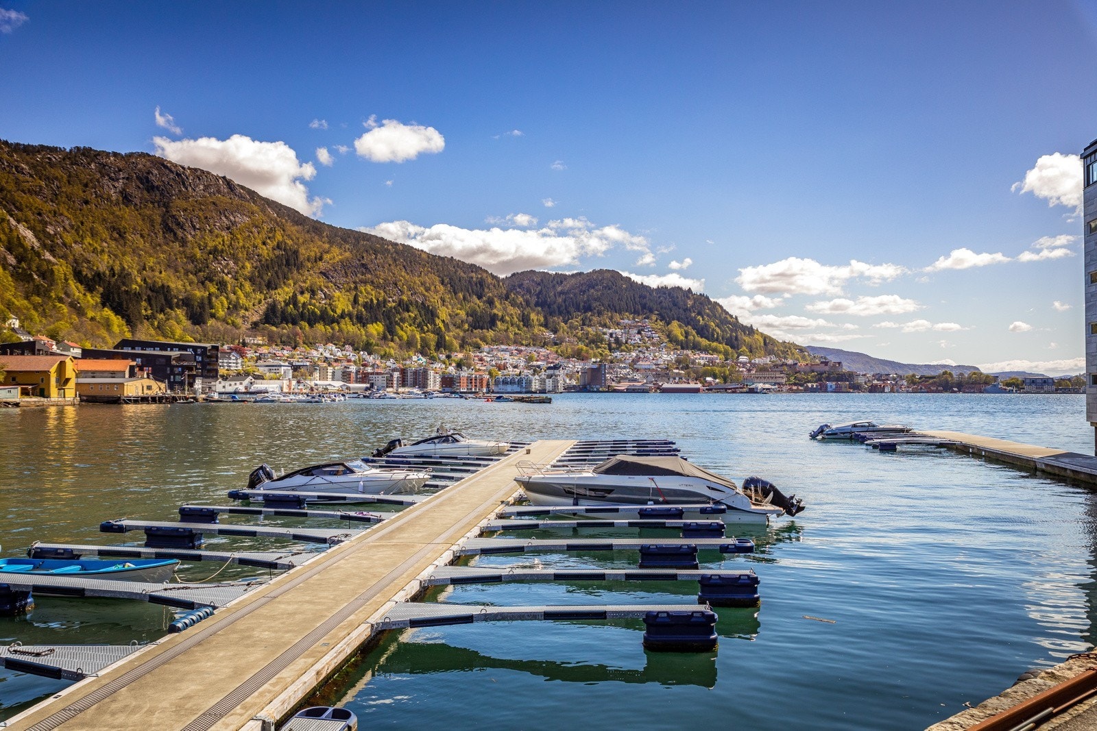 Båtplasser kan leies Galleribilde