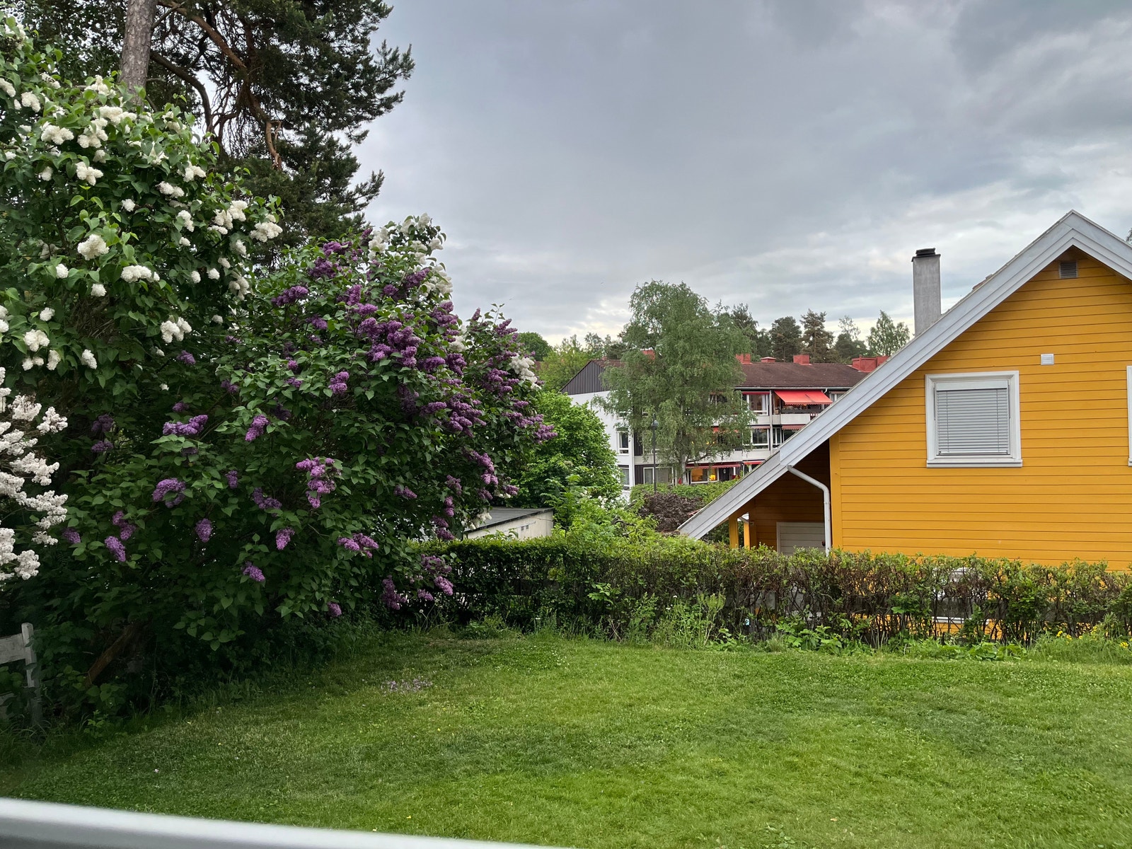 Utsikt kjøkkenvindu Galleribilde