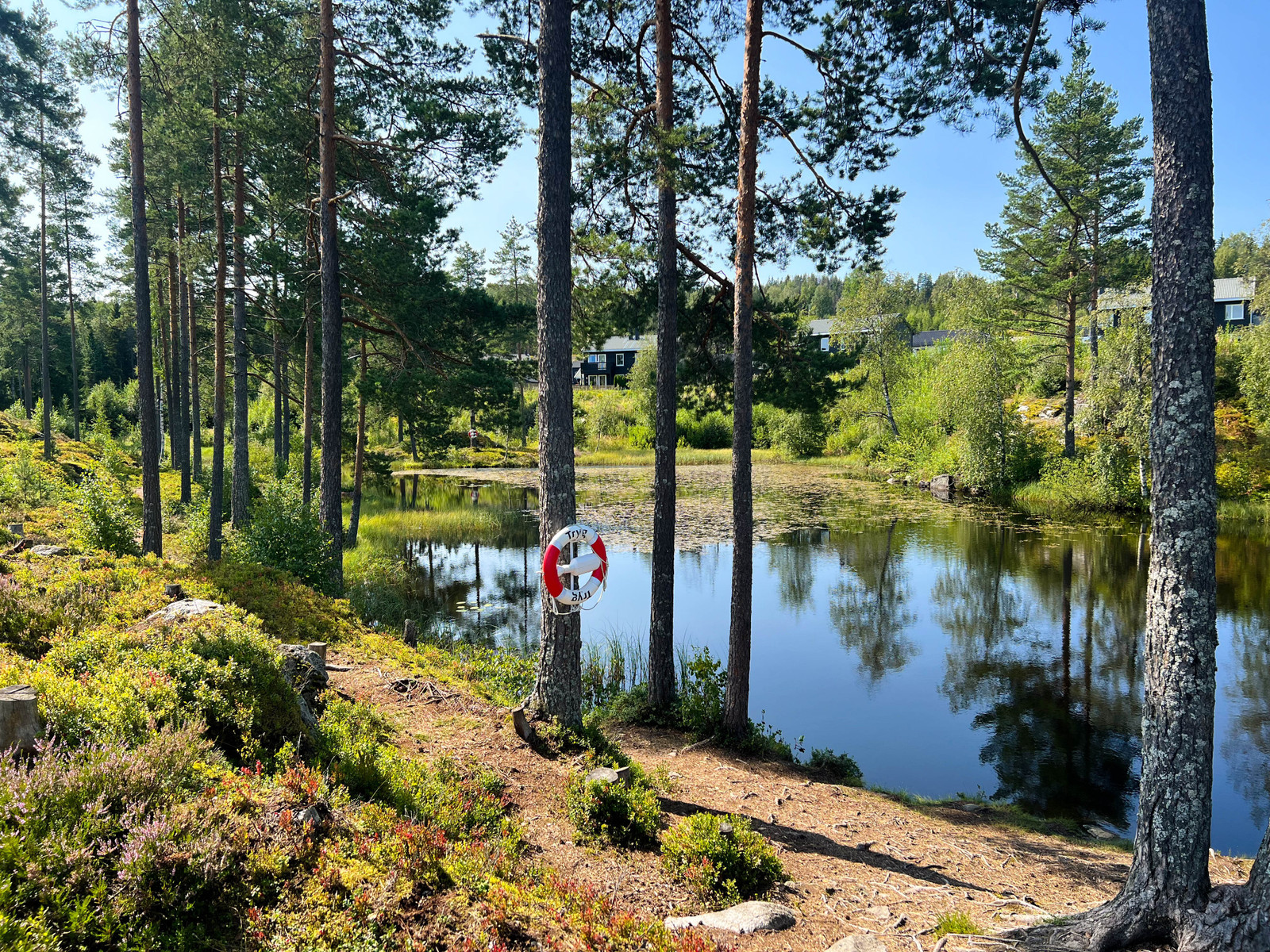 Idylliske Ramstaddammen