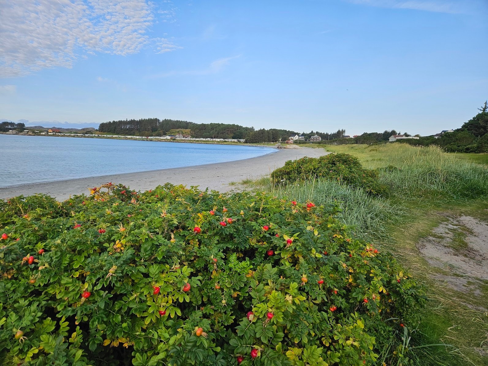 Skadbergsanden, sandstranden som ligger hundre meter fra huset. Galleribilde