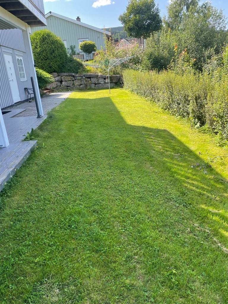 Utenfor kjellerstua er det en skjermet uteplass med flotte grøntområder. Galleribilde