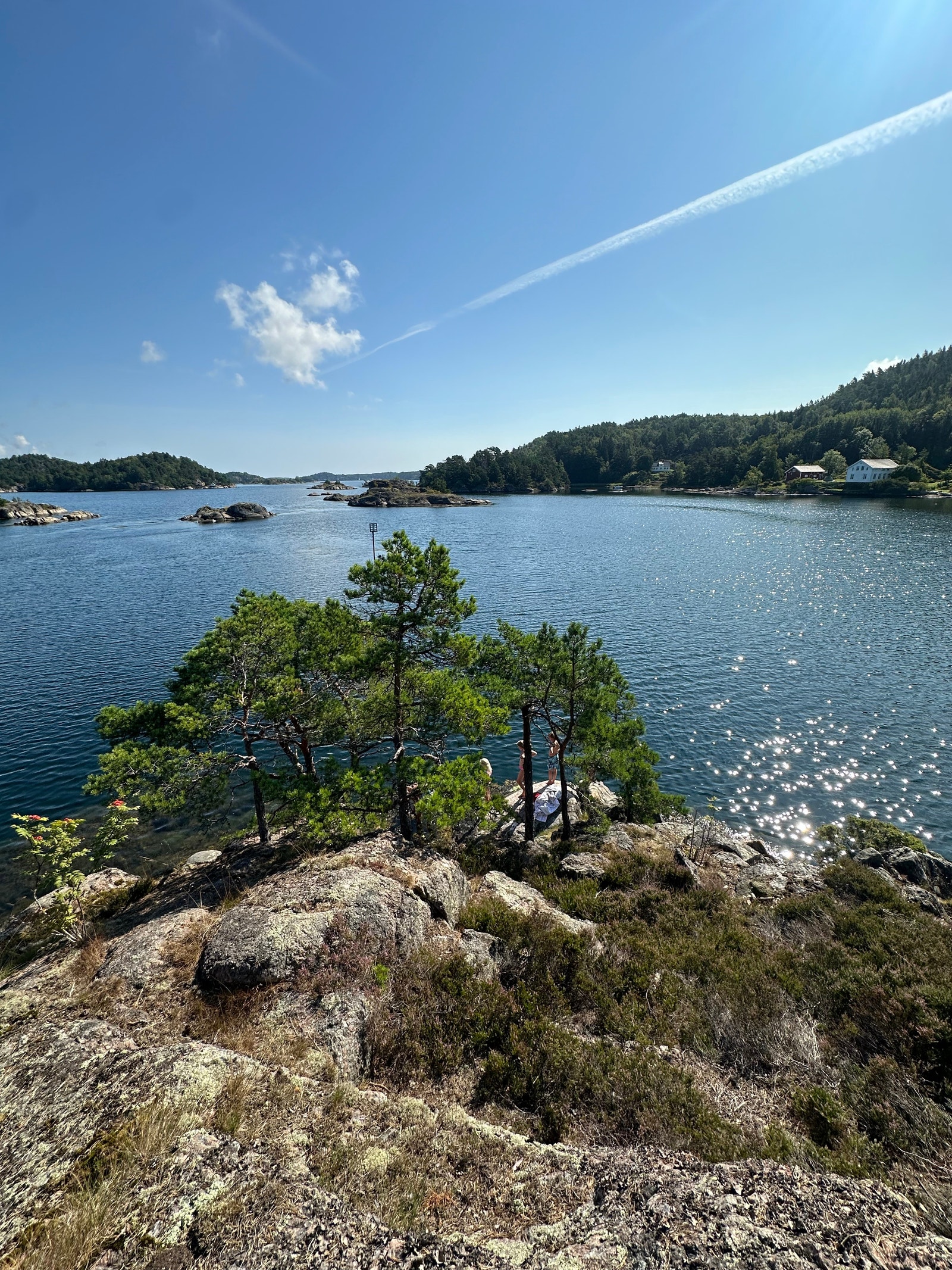 Tuppen av øya Galleribilde