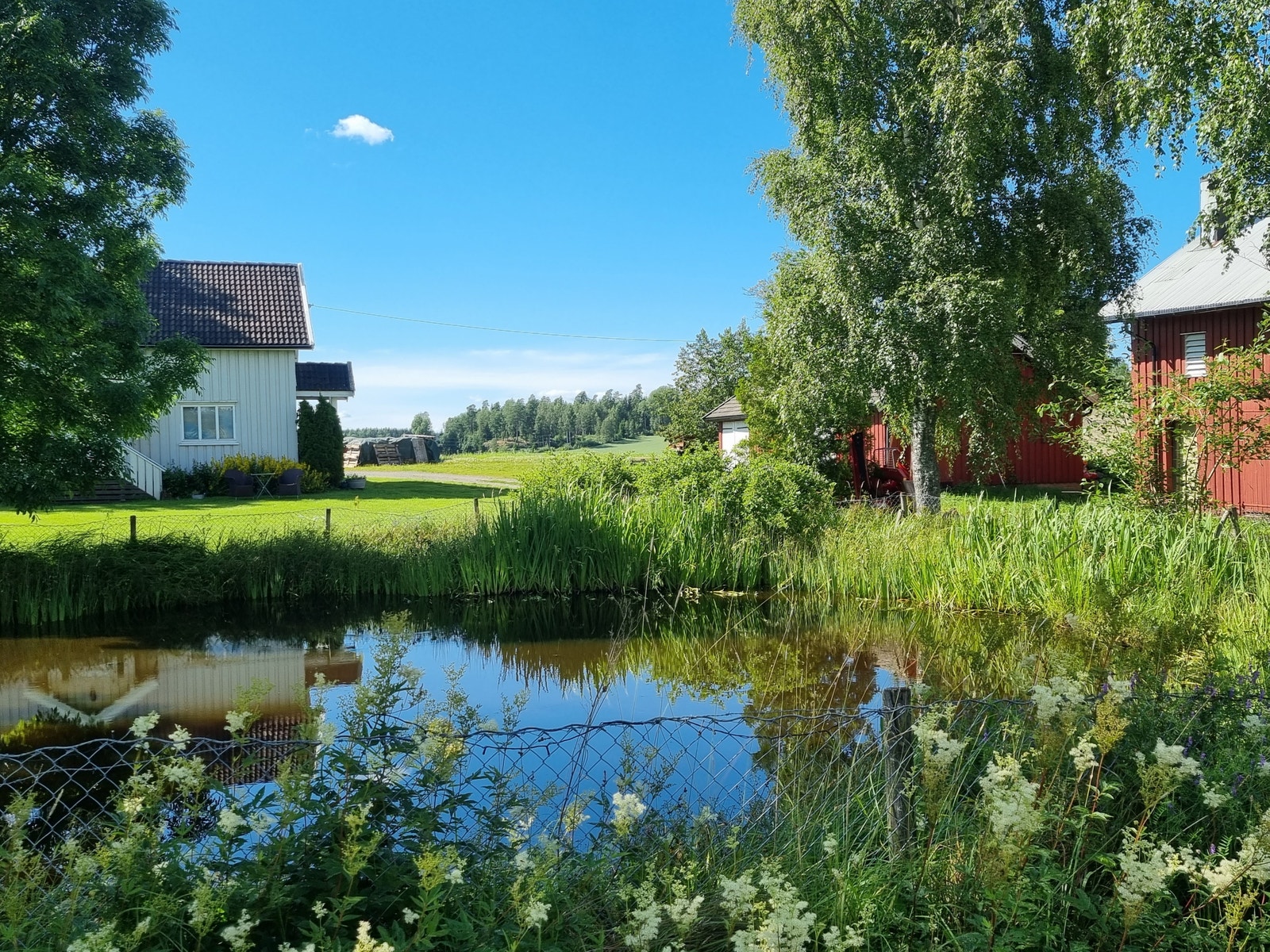 Mulighet for kjøkkenhage. Drivhus. Galleribilde
