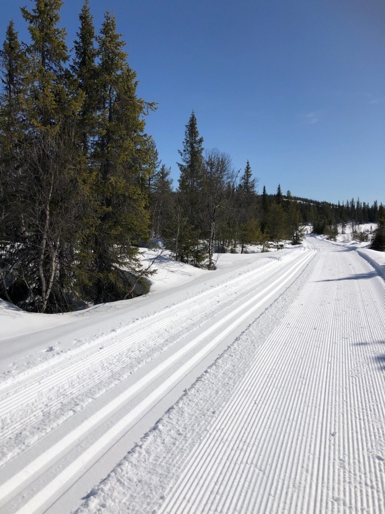 800 meter fra hytta er det "trikkespor" og skøyte spor. Galleribilde