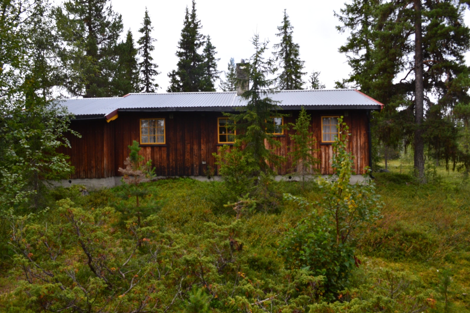 Øst Galleribilde