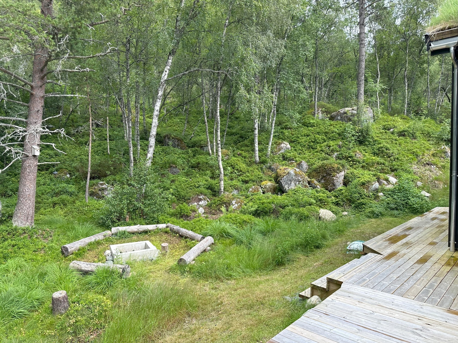 Bålplass på baksiden av hytten. Galleribilde